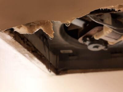 Professional water damage remediation services in Phoenix